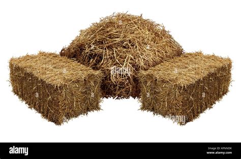 Hay Piles Cut Out Stock Images And Pictures Alamy
