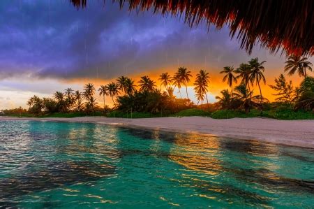 Beach wallpaper for pc windows 10. Tropical beach - Beaches & Nature Background Wallpapers on ...