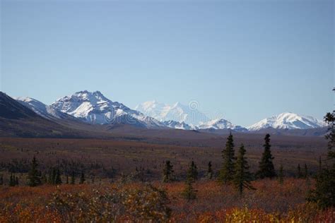 Snow Covered Mountains Mt Mckinley Denali Alaska Stock Image Image Of