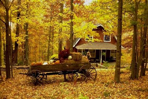 🔥 Free Download Landscape Series Scenes Of Autumn1 Wallpaper 807x605