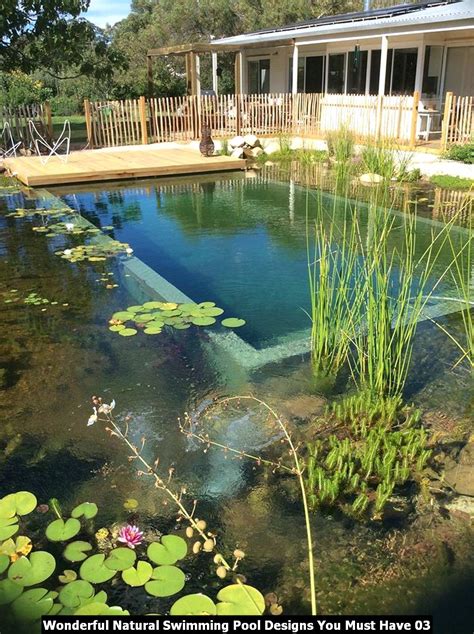 Free Natural Swimming Pool Designs With Diy Home Decorating Ideas
