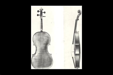 From The Archive A Viola By Jacob Stainer 1670 Premium Gallery