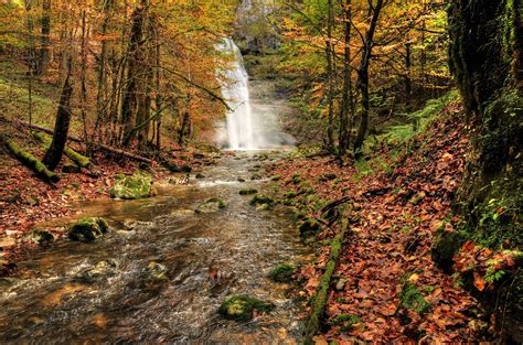 Waterfall River Fall Forest Trees Nature Autumn
