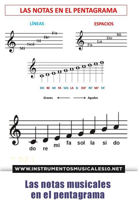 Las Notas Musicales En El Pentagrama Guía Completa ⭐ Artofit