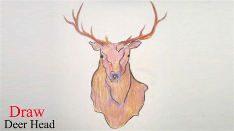 How To Draw Deer Head Step By Step Very Easy Youtube
