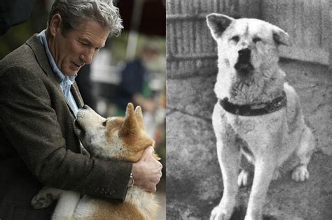 La Storia Vera Di Hachiko Il Cane Che Ha Ispirato Il Film Con Richard Gere