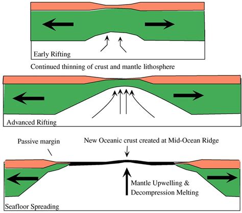 Features Of The Ocean Floor Diagram Wiring Diagram