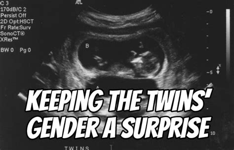 Keeping The Twins Gender A Surprise Dads Guide To Twins