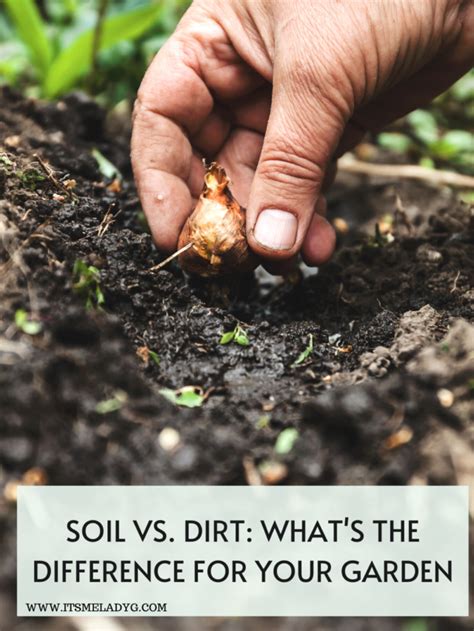 Soil Vs Dirt What S The Difference It S Me Lady G