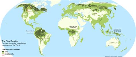 Global Forest Change 8000 Years Ago And Today Ecosystems Forest