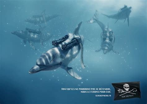 Sea Shepherd Conservation Society Dolphins