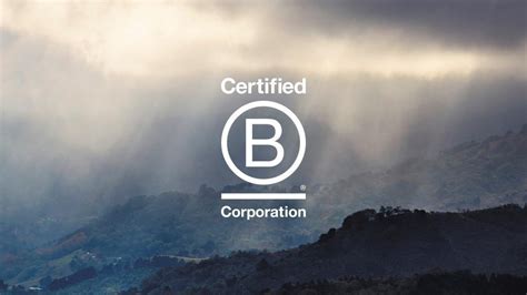 B Corp Month In The Year We Became A B Corp