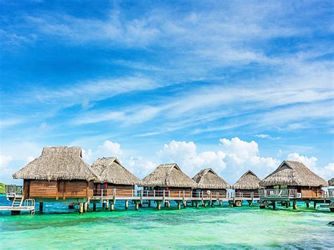 Bora Bora Beach Huts Stock Photos Pictures And Royalty Free Images Istock