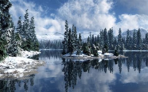 Snow Forest Wallpapers Wallpaper Cave