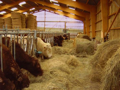 Ferme pédagogique de la Colline Bleue - denting, Moselle (57