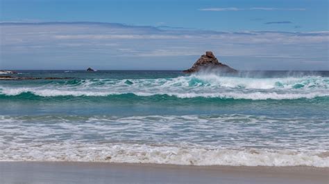 Premium Photo View Offshore From Sandfly Bay In The South Island Of New Zealand