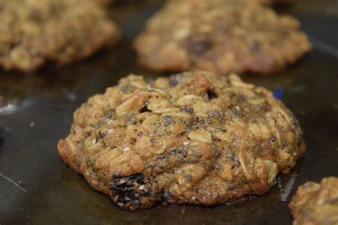healthy oatmeal raisin chia cookies hungry  fit