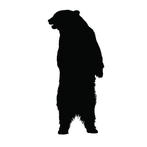 Image Result For Standing Bear Silhouette Bear Silhouette Human