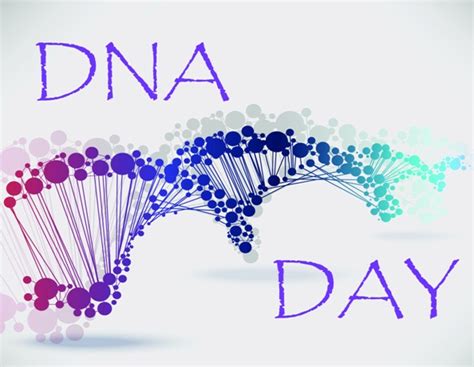 First 3d Structures Of Active Dna Update On World Dna Day Nature Khabar