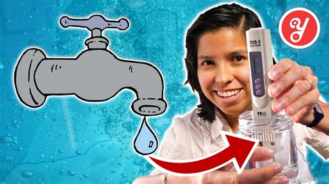 How To Test Water Quality At Home Should You Filter Your Water Youtube