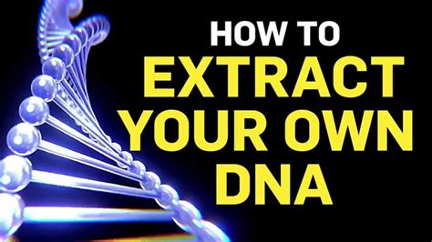 How To Extract Your Own Dna Dna Biology Extract