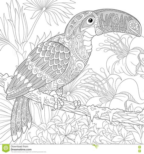 Toucan Page Zentangle Coloring Pages