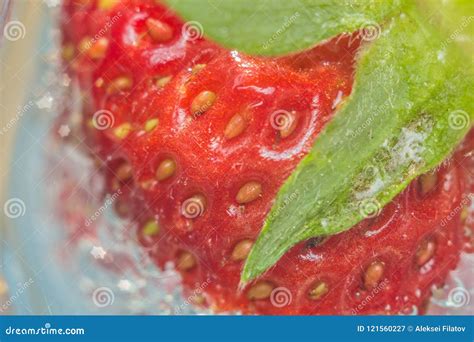 Fresh Strawberries Close Up Stock Image Image Of Beautiful Dessert