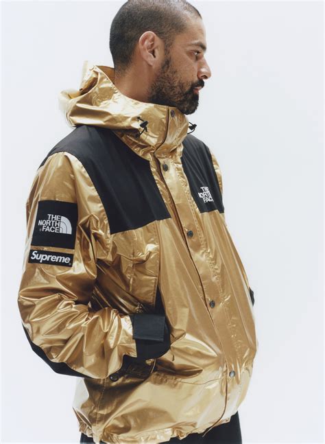 Supreme X The North Face The Metallic Collection The Everyday Man