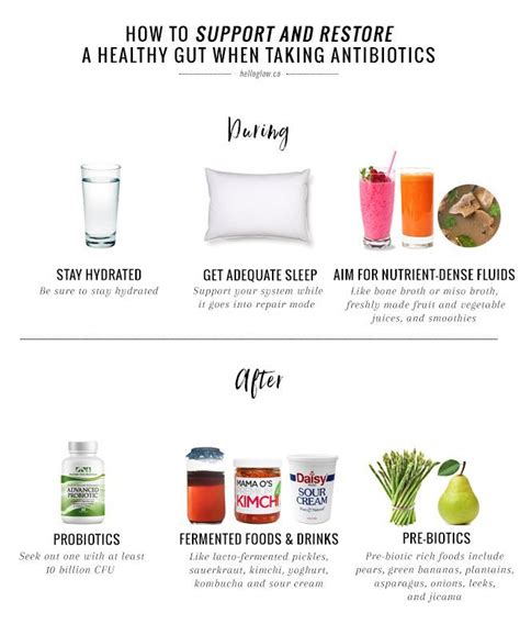 Ask A Nutritionist How To Help Your Body Recover From Antibiotics