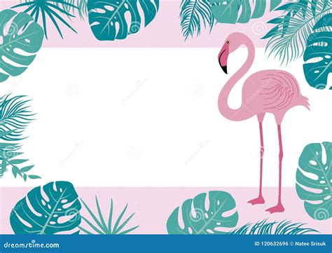 Summer Banner Of Flamingo And Tropical Leaves Stock Vector