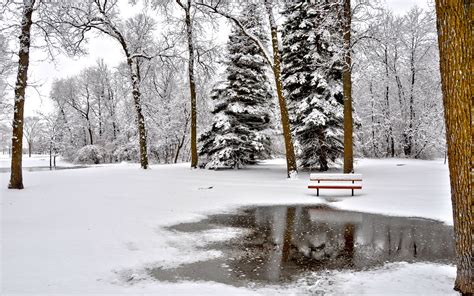 Park In Winter Image Abyss