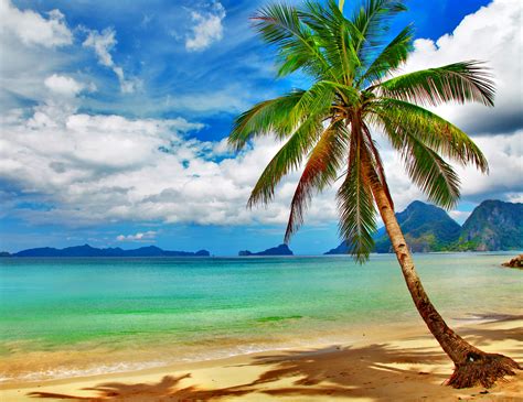 Download Tropical Beach Desktop Background HD Wallpaper By Mrogers Tropical Beach