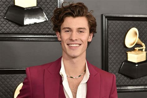 How To Book Shawn Mendes Anthem Talent Agency