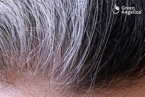 Sebagian orang menggunakan cara menghilangkan uban paling praktis, yakni mewarnai rambut sebagai solusi instan. 8 Langkah Gampang Hilangkan Uban Pada Rambut 2019 - Peduli ...