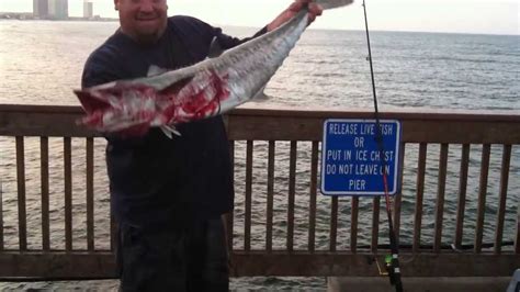 King Mackerel From Pier Pier Fishing Huge Fish Youtube