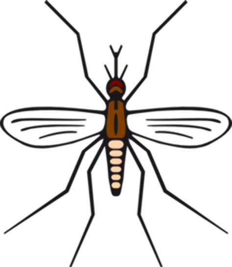 Download High Quality Mosquito Clipart Simple Transparent Png Images