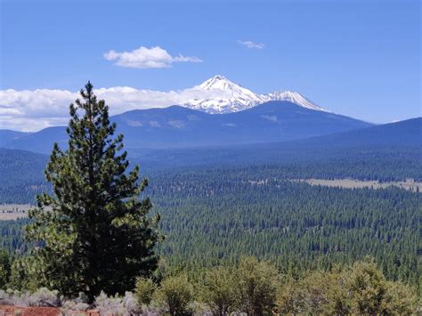 Mt Shasta Oregon Roneplus7pro