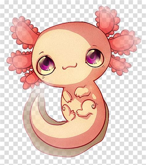 We did not find results for: Axolotl Salamander Drawing Cartoon, salamander transparent ...