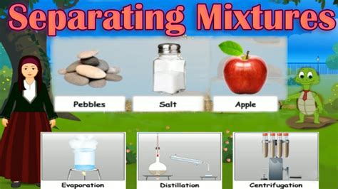 Separating Mixtures Different Methods Distillation Evaporation