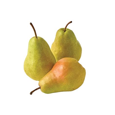 Fresh Green Bartlett Pears Shop Fruit At H E B