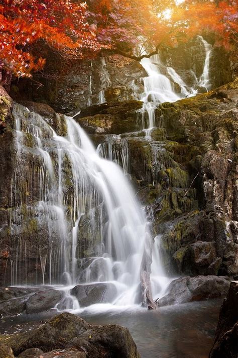 Torc Waterfall In Killarney National Park Ireland Nature