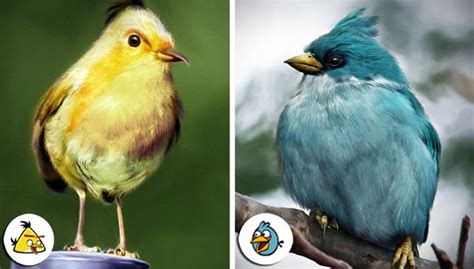 Cara membuat lampion angry bird. Jika Angry Bird Ada Dunia Nyata | DuaPitu Media