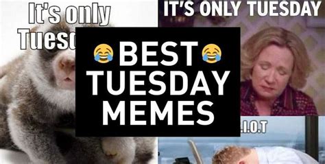 Best Tuesdays Memes Cheer Up Your Day With Some Funny Funny Memes