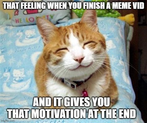 Cute Smiling Cat Memes Imgflip