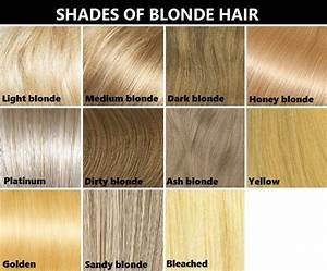 Honey Hair Color Chart Warehouse Of Ideas