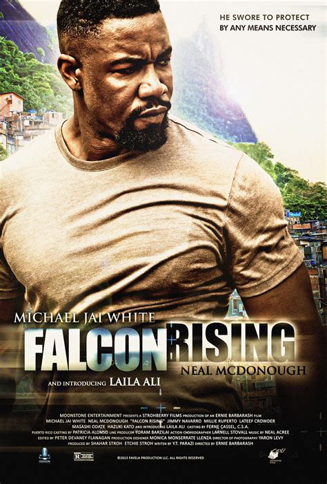 The kyokushin karate roots of michael jai white. Falcon Rising is surprisingly good action movie of 2014 ...