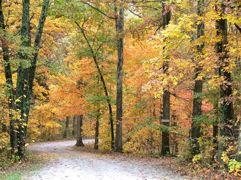 Here Are The Best Times And Places To View Fall Foliage In Missouri