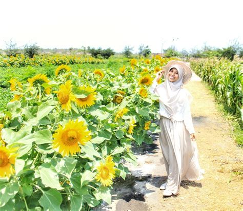 Exploring bunga matahari garden once arriving at bunga matahari garden or sunflower garden, tourists should pay the entrance fee first before exploring the site. Paket Wisata Jogja & Tour Custom: Travel Yogyakarta ...
