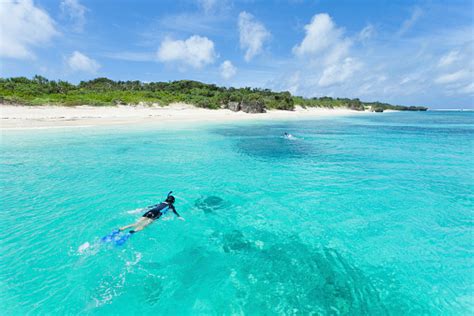 Snorkeling In Clear Blue Water Of Tropical Island Okinawa Japan Stock