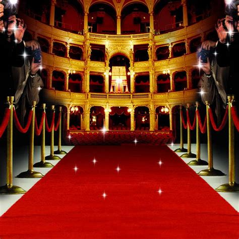 Hollywood Theme Red Carpet Paparazzi Celebrity Backdrop Vinyl Cloth